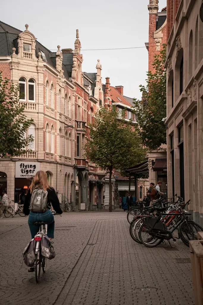 Visite de Bruges sur les pas des Maîtres Flamands 34 Visite de Bruges sur les pas des Maîtres Flamands 30