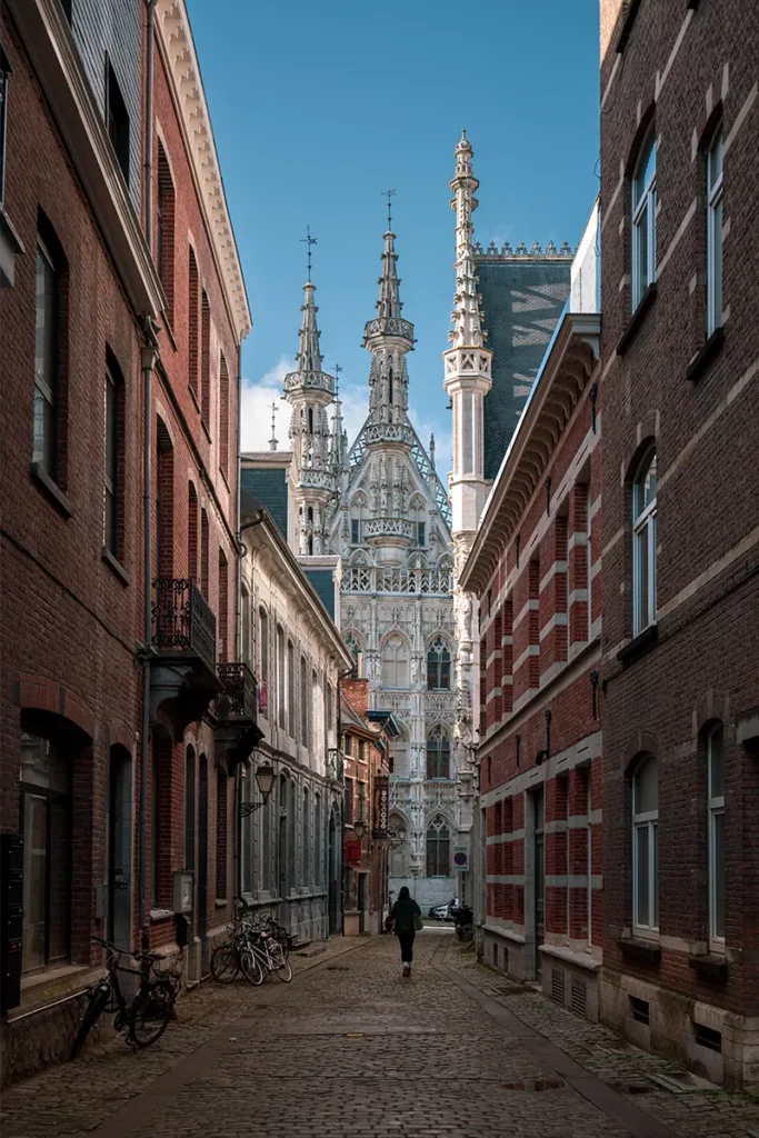 Visite de Bruges sur les pas des Maîtres Flamands 34 Visite de Bruges sur les pas des Maîtres Flamands 30