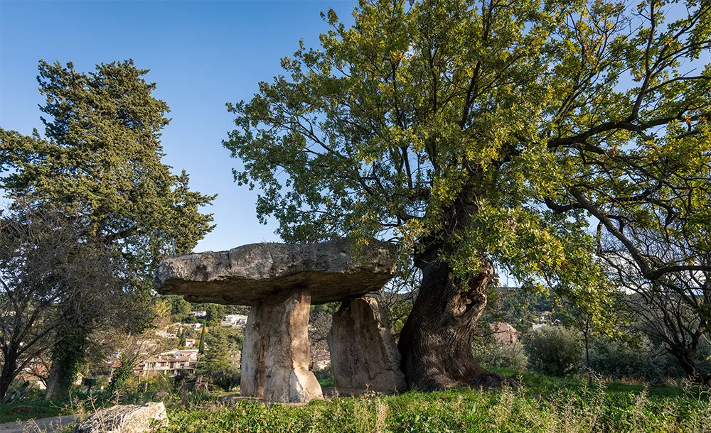 Que faire à Draguignan ? Les visites incontournables 29