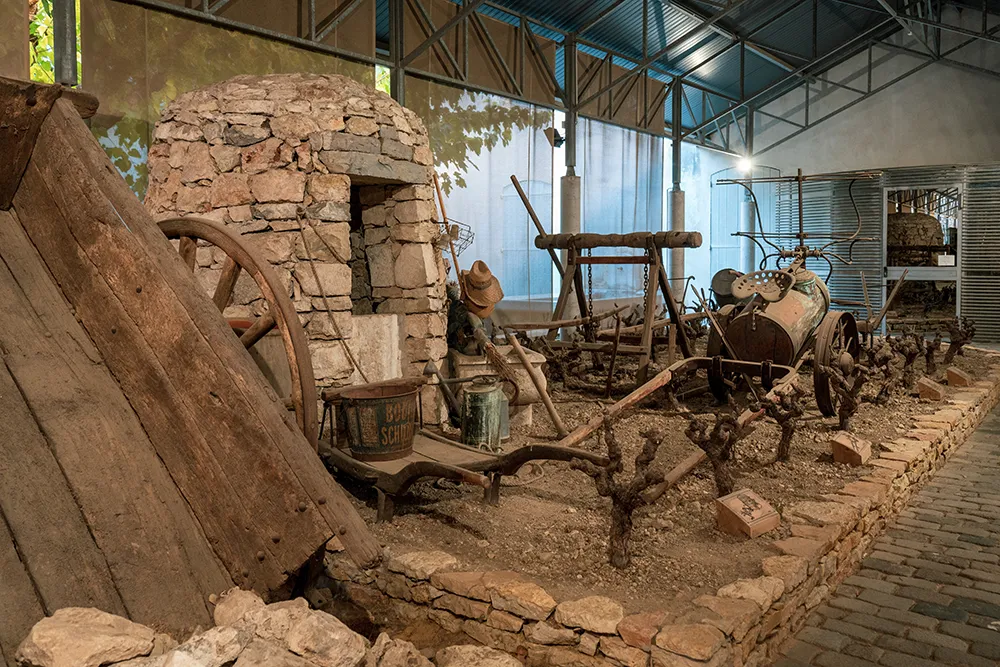 Que faire à Draguignan ? Les visites incontournables 18