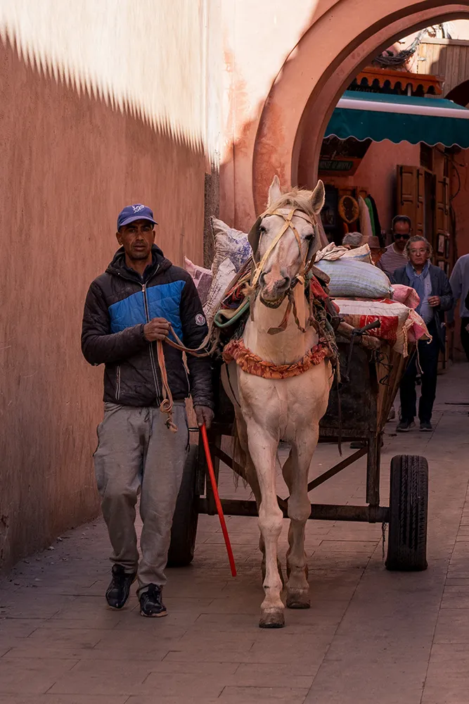 Guide complet de Marrakech