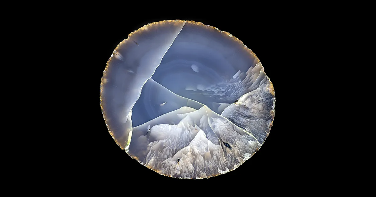 The École des Arts Joailliers invites us to contemplate the hidden