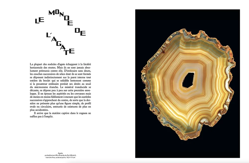 L’École des Arts Joailliers nous invite à contempler la beauté cachée du monde minéral 9